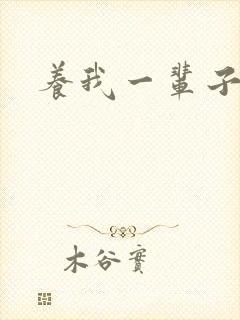 养我一辈子封面