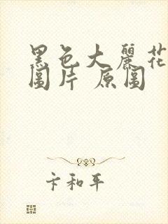 黑色大丽花真实图片 原图