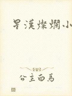 星汉灿烂小说封面
