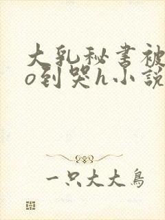 大乳秘书被cao到哭h小说