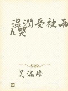 温润受被两个攻h哭封面
