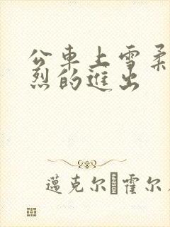 公车上雪柔被猛烈的进出