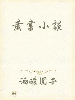 黄书小说