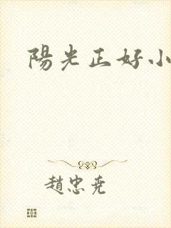 阳光正好小说