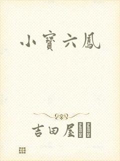 小宝六凤封面