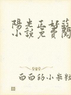 阳光正好苏玥玥小说免费阅读无弹窗
