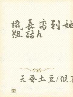 机长脔到她哭h粗话h