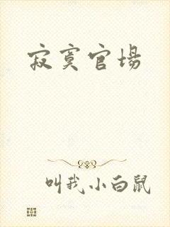 寂寞官场