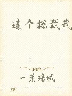 这个总裁我要了封面