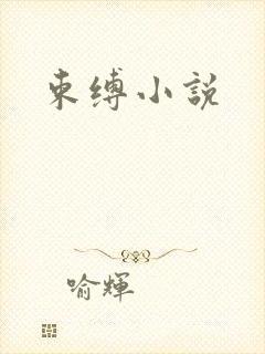 束缚小说封面