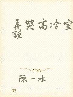 弄哭高冷室友小说