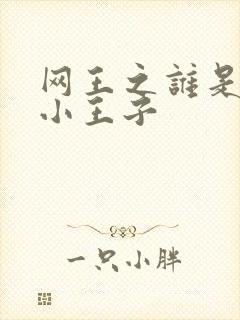 网王之谁是我的小王子
