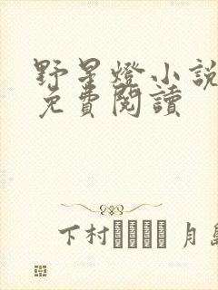 野星灯小说全文免费阅读