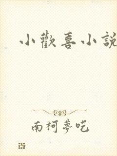 小欢喜小说