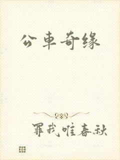 公车奇缘封面