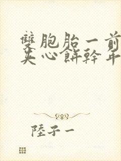 双胞胎一前一后夹心饼干年下