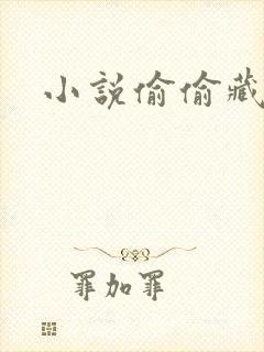 小说偷偷藏不住封面