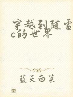 穿越到随处可以c的世界