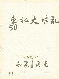 东北大坑乱1—50