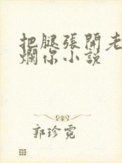 把腿张开老子臊烂你小说