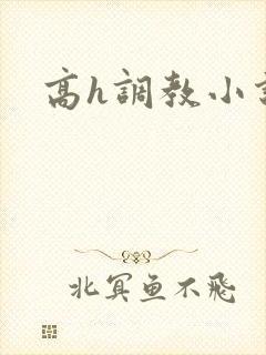 高h调教小说