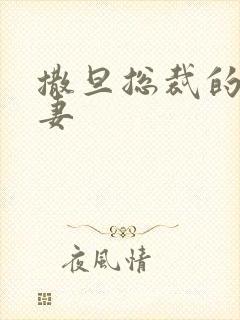 撒旦总裁的下堂妻