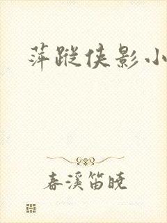 萍踪侠影小说封面
