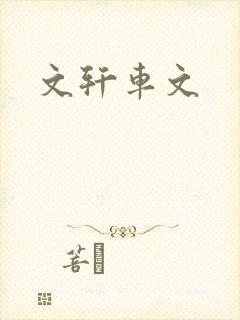 文轩车文