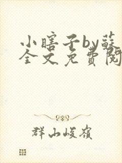 小瞎子by苏软全文免费阅读