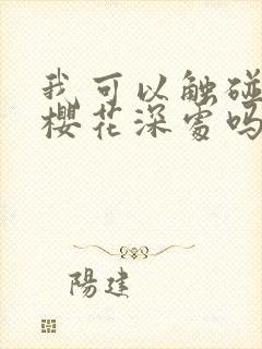 我可以触碰你的樱花深处吗