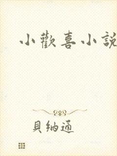 小欢喜小说