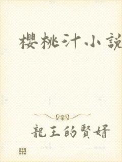 樱桃汁小说
