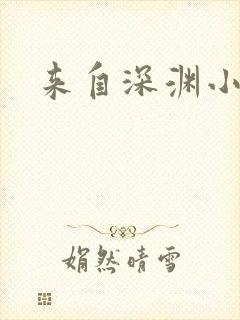来自深渊小说