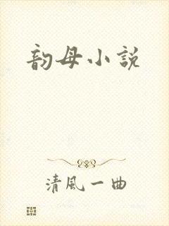韵母小说