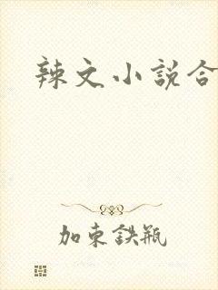 辣文小说合集