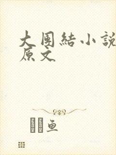 大团结小说阅读原文