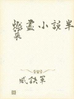 燃尽小说半截白菜