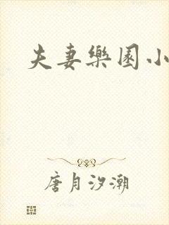 夫妻乐园小说封面