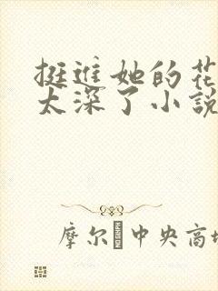 挺进她的花苞啊太深了小说