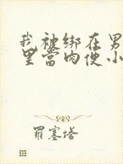我被绑在男公厕里当肉便小说