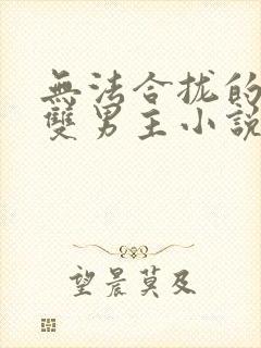 无法合拢的总裁双男主小说