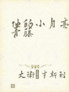 他的小月亮by青藤