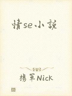 情se小说
