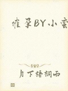 催孕BY小蛮腰