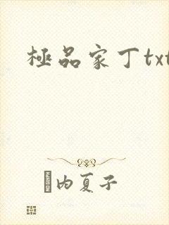 极品家丁txt