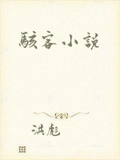 骇客小说