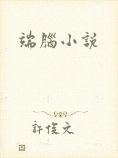 端脑小说封面