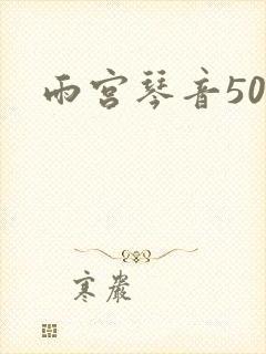 雨宫琴音500
