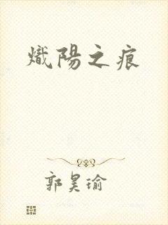 炽阳之痕封面