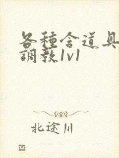 各种含道具高h调教1v1